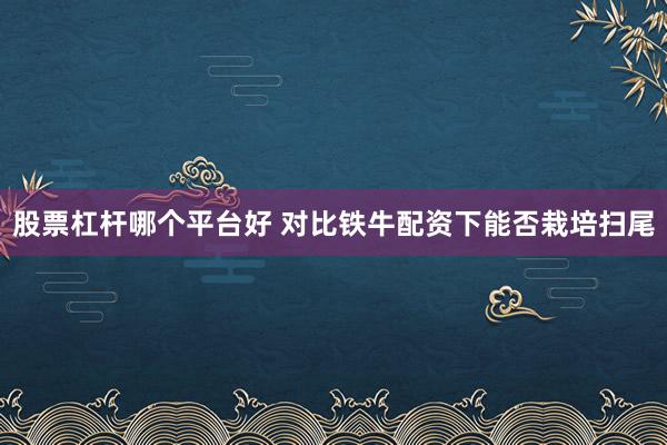 股票杠杆哪个平台好 对比铁牛配资下能否栽培扫尾