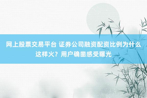 网上股票交易平台 证券公司融资配资比例为什么这样火？用户确凿感受曝光