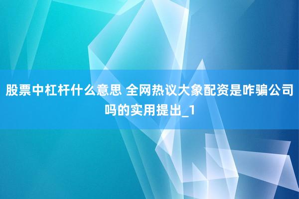 股票中杠杆什么意思 全网热议大象配资是咋骗公司吗的实用提出_1