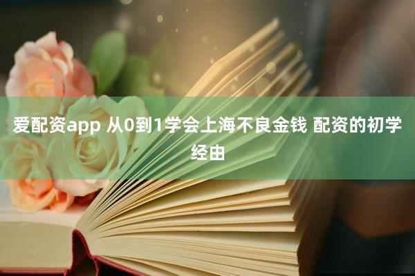 爱配资app 从0到1学会上海不良金钱 配资的初学经由