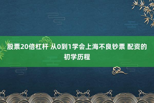 股票20倍杠杆 从0到1学会上海不良钞票 配资的初学历程