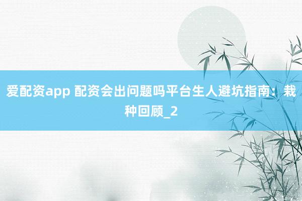 爱配资app 配资会出问题吗平台生人避坑指南：栽种回顾_2