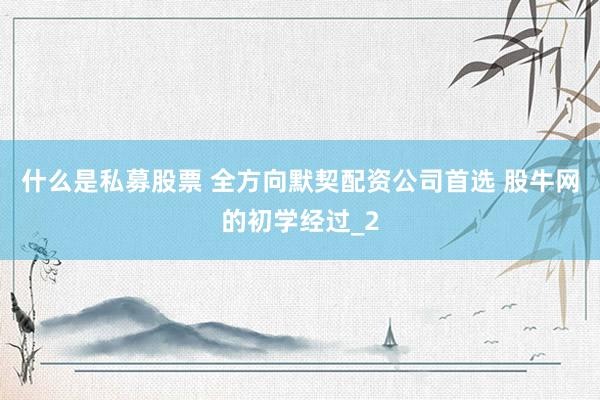 什么是私募股票 全方向默契配资公司首选 股牛网的初学经过_2