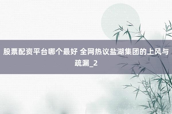 股票配资平台哪个最好 全网热议盐湖集团的上风与疏漏_2