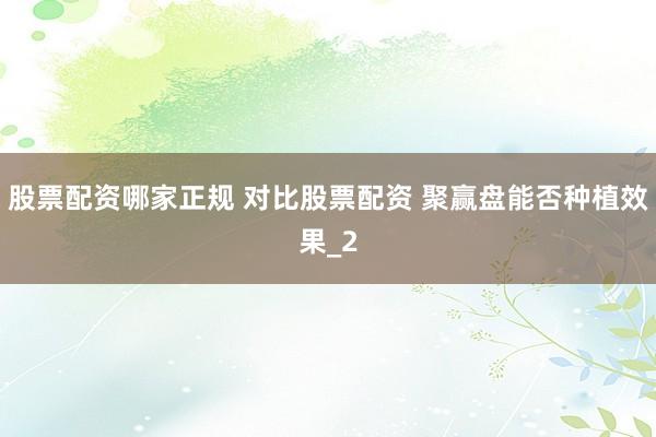 股票配资哪家正规 对比股票配资 聚赢盘能否种植效果_2