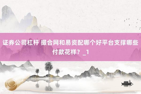 证券公司杠杆 撮合网和易资配哪个好平台支撑哪些付款花样？_1