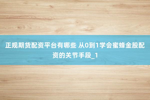 正规期货配资平台有哪些 从0到1学会蜜蜂金股配资的关节手段_1