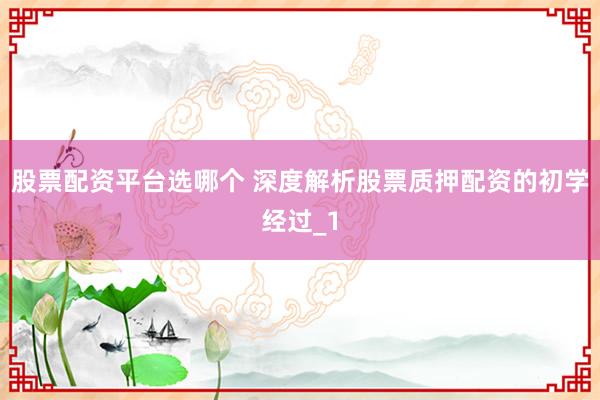 股票配资平台选哪个 深度解析股票质押配资的初学经过_1