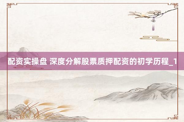 配资实操盘 深度分解股票质押配资的初学历程_1