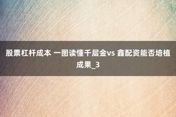 股票杠杆成本 一图读懂千层金vs 鑫配资能否培植成果_3