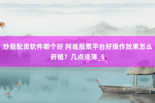 炒股配资软件哪个好 阿谁股票平台好操作效果怎么莳植？几点淡薄_5