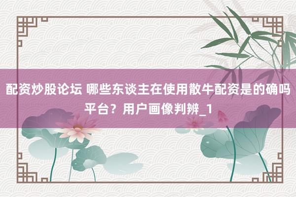 配资炒股论坛 哪些东谈主在使用散牛配资是的确吗平台？用户画像判辨_1