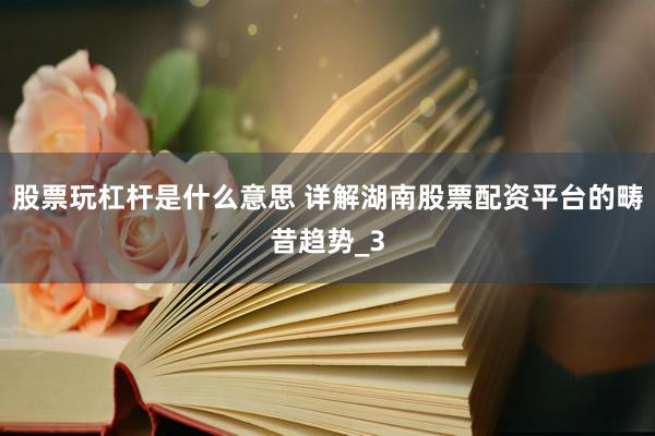 股票玩杠杆是什么意思 详解湖南股票配资平台的畴昔趋势_3