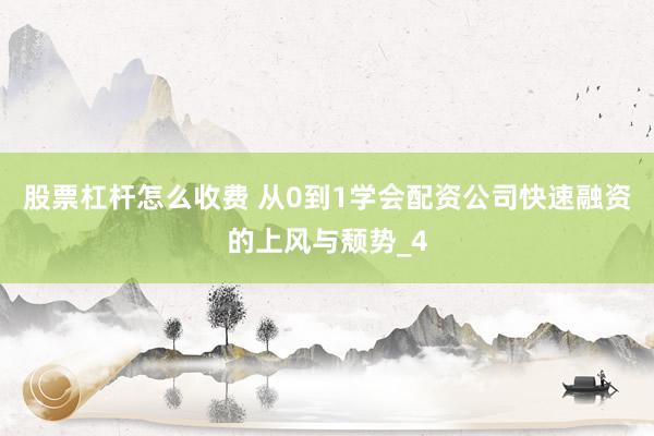 股票杠杆怎么收费 从0到1学会配资公司快速融资的上风与颓势_4