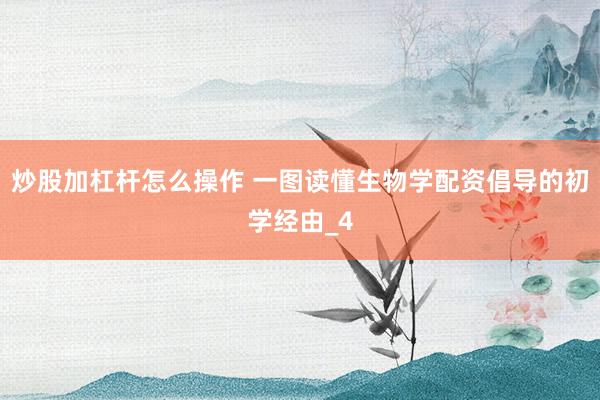 炒股加杠杆怎么操作 一图读懂生物学配资倡导的初学经由_4