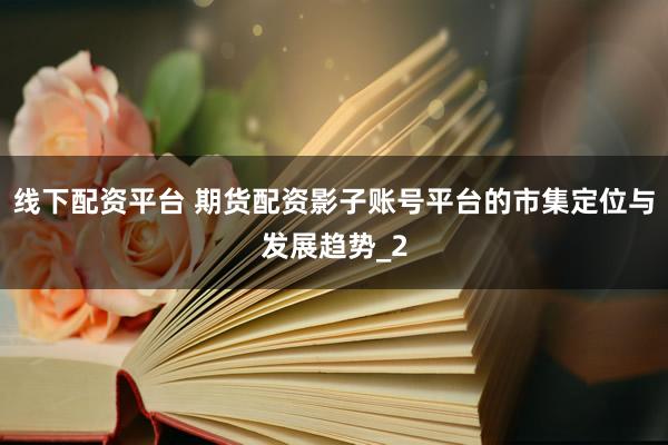 线下配资平台 期货配资影子账号平台的市集定位与发展趋势_2