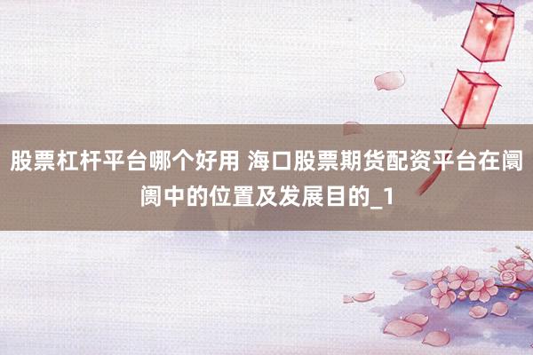 股票杠杆平台哪个好用 海口股票期货配资平台在阛阓中的位置及发展目的_1