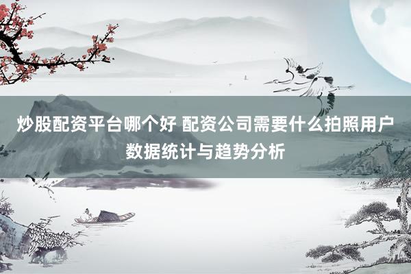 炒股配资平台哪个好 配资公司需要什么拍照用户数据统计与趋势分析